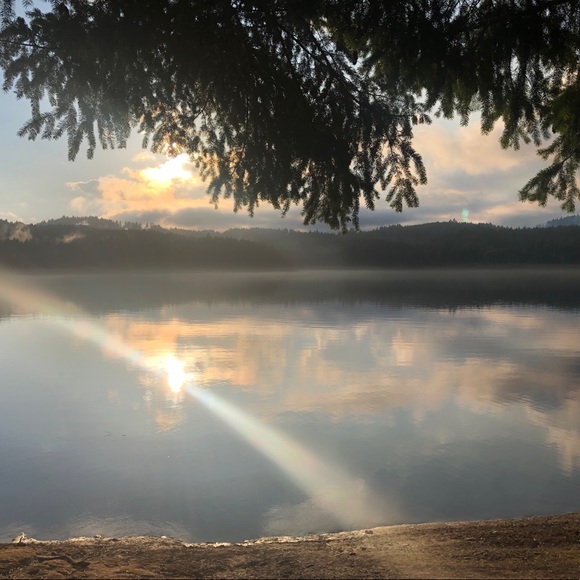 Meet your Posher, Therese - Picture 1 of 1